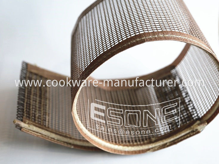 PTFE mesh belt